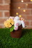 Patrones de crochet Conejito de Pascua en macetero de claveles PDF / Tutorial Descarga Instantánea