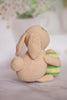 Patrones de crochet amigurumi Conejito de Pascua con Huevo PDF / Tutorial Descarga Instantánea