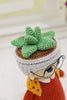 Grandma Succulent Crochet Pattern, Funny Plant Lady Doll PDF, Amigurumi Grandma Pot Tutorial, Plant Mom Decor Gift, Cute Houseplant Doll DIY