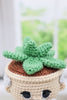 Succulent Grandpa Crochet Pattern PDF, Plant Pot Amigurumi Pattern, Funny Grandfather Doll with Mustache, Cute Plant Lover Gift