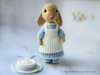 Schema amigurumi all'uncinetto Pasqua Vintage Mr&Ms Rabbit PDF / Tutorial per il download istantaneo