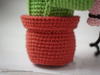 Patrones de crochet San Valentín amigurumi Differen love: Cactus y Globo EE.UU., Alemania, Español, Portugués, Italiano PDF / Tutorial Descarga Instantánea