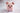 Patrones de crochet amigurumi Piglet animal de granja PDF / Tutorial Descarga Instantánea